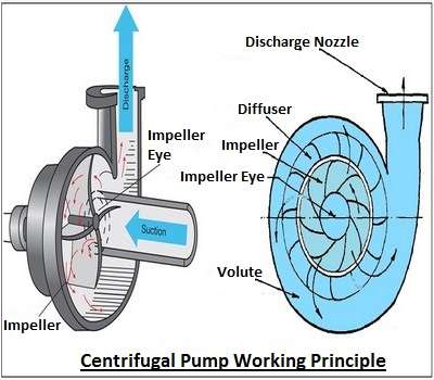 Centrifugal Pump 