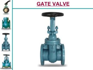 Gate Valve