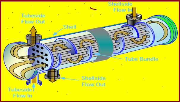 Working-principle-of-Typical-Shell-and-Tube-Heat-Exchanger