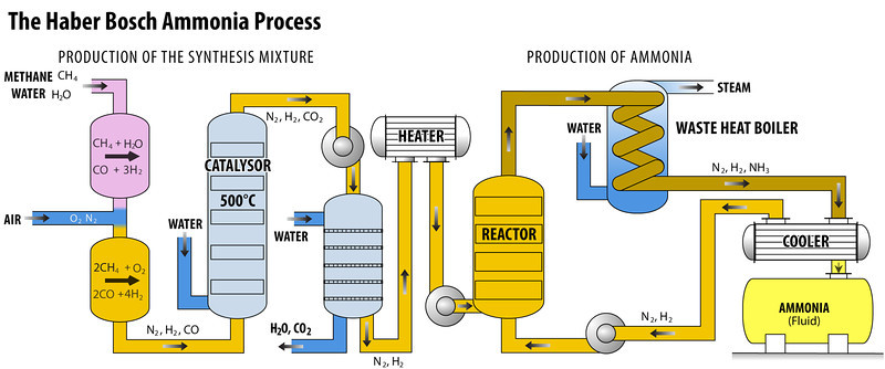 Haber Bosch Ammonia Process 1