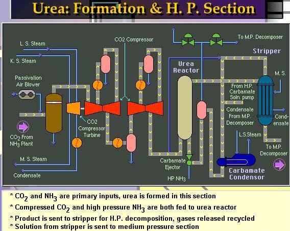 Urea Manufacturing Schematic