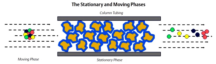 Gas Chromatography 